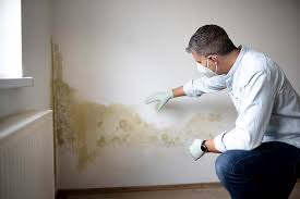 Best Commercial Mold Inspection  in USA